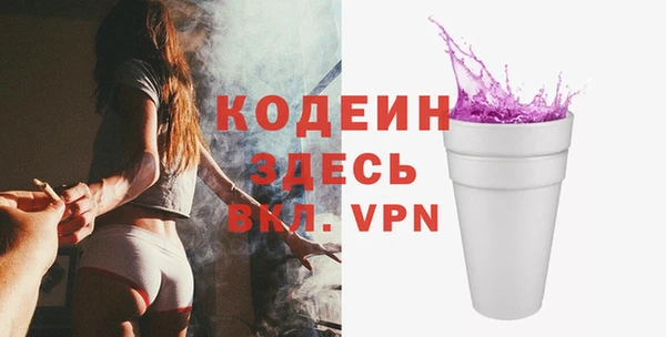 шишки Сатка