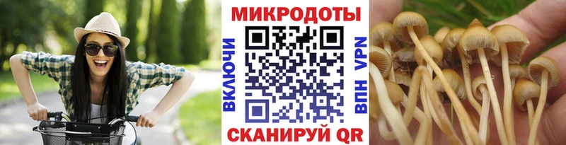 Галлюциногенные грибы Cubensis  Макарьев 