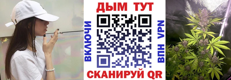 купить наркоту  Макарьев  Конопля план 